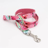 Watermelon Bow-Tie Collar & Leash Set Watermelon Bow-Tie Collar & Leash Set