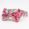 Watermelon Bow-Tie Collar & Leash Set Watermelon Bow-Tie Collar & Leash Set