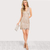 The Floral Lace Elegance Dress