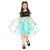 BFJFY Frozen Girls Halloween Dress Princess Anna Costume Dress BFJFY Frozen Girls Halloween Dress Princess Anna Costume Dress
