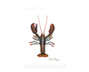 Northern Lobster