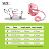 Harness Leash Set for Small Dogs