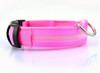 Pet Dog LED Collar for Night Safety