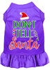 Don't Tell Santa Screen Print Dog Dress