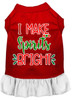 I Make Spirits Bright Screen Print Dog Dress