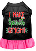 I Make Spirits Bright Screen Print Dog Dress