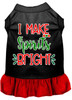 I Make Spirits Bright Screen Print Dog Dress
