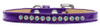 Ab Crystal Size Puppy Ice Cream Collar