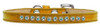 Ab Crystal Size Puppy Ice Cream Collar