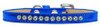 Ab Crystal Size Puppy Ice Cream Collar