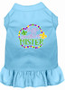 Throw Me Something Screen Print Mardi Gras Dog Dress