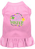 Throw Me Something Screen Print Mardi Gras Dog Dress