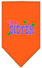 Big Sister Screen Print Bandana