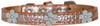 Silver Flower Widget Croc Dog Collar Size