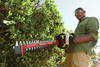 CRAFTSMAN V60 Cordless Hedge Trimmer, 24-Inch (CMCHTS860E1)