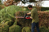 CRAFTSMAN V60 Cordless Hedge Trimmer, 24-Inch (CMCHTS860E1)