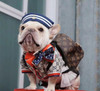 lv dog backpack fashion -513#