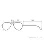 CARLOS by CARLOS SANTANA RUMER SUNGLASSES