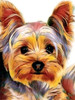 Huacan DIY Full Square Diamond Painting Dog Animal Diamond Embroidery Sale Rhinestone Picture 5d Diamond Mosaic DropShip