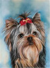 Huacan DIY Full Square Diamond Painting Dog Animal Diamond Embroidery Sale Rhinestone Picture 5d Diamond Mosaic DropShip