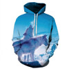 Anime Hoodies Men/Women 3D Sweatshirts With Hat Hoody Unisex Anime Cartoon Hooded Fashion Brand Hoodies Sweatshirts