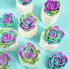 Handmade Succulent Soaps