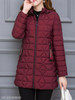 Hooded Zipper Plain Coat