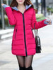 Hooded Zipper Plain Coat