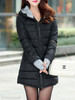 Hooded Zipper Plain Coat