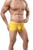 Convex Mesh Trunks