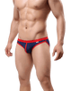 Fashion Mesh Bikini Briefs