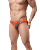 Fashion Mesh Bikini Briefs