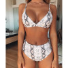 Snake Print Bikini 2019