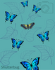 Butterfly Shutterbug T-Shirt