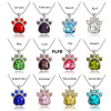 FLFD - Birthstone Necklace Rhinestone Paw FLFD - Birthstone Necklace Rhinestone Paw
