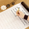 Chinese Calligraphy Brush Pen with Refill Ink