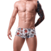 5 Pack Graphic Flex Trunks