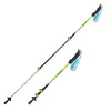 Alpenstock Hiking Cane