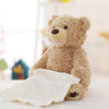 30cm Peek a Boo Bear Play Hide Seek