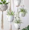 Set of 4 Macrame Plant Hangers Cotton Rope Hanging Planter Basket Flower Pot Holder