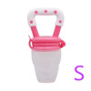 Fresh Fruit Pacifier