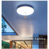 Motion sensor LED Ceiling Lights