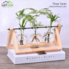 Retro Glass Planter Flower Pot Hydroponics Terrarium