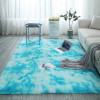 European Long Hair Area Rug Carpet Bedroom Bay Window Bedside Mat Washable Blanket