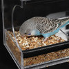 Solar Window Bird Feeder