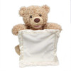 Peek-A-Boo Teddy