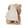 Peek-A-Boo Teddy