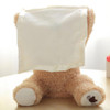 Peek-A-Boo Teddy