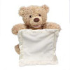 Peek-A-Boo Teddy