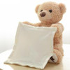 Peek-A-Boo Teddy